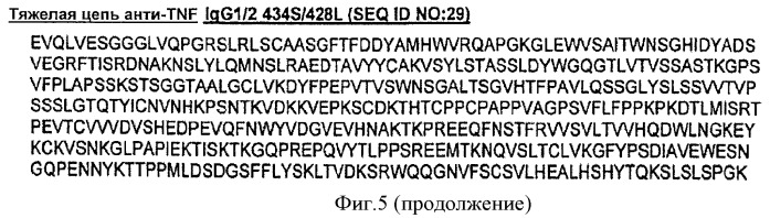 Варианты fc с измененным связыванием c fcrn (патент 2529951)
