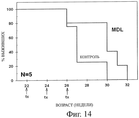 Фармацевтическая композиция на основе n1,n4-бис-(бута-1,3-диенил)бутан-1,4-диамина и способы ее применения (патент 2448693)