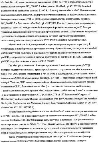 Способ получения l-треонина с использованием бактерии, принадлежащей к роду escherichia, в которой инактивирован кластер генов sfmacdfh-fimz или ген fimz (патент 2333953)