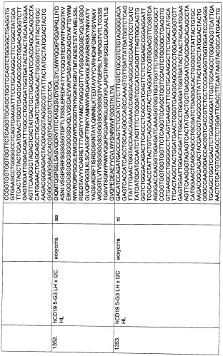 Pscaxcd3, cd19xcd3, c-metxcd3, эндосиалинxcd3, epcamxcd3, igf-1rxcd3 или fap-альфаxcd3 биспецифическое одноцепочечное антитело с межвидовой специфичностью (патент 2547600)