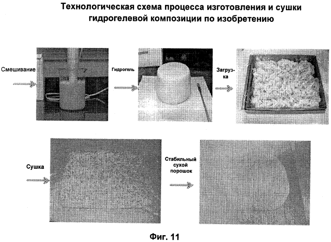 Стабильная сухая порошкообразная композиция, содержащая биологически активные микроорганизмы и/или биоактивные материалы, и способ ее изготовления (патент 2567668)