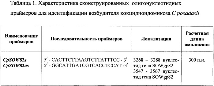 Олигонуклеотидные праймеры для идентификации coccidioides posadasii (патент 2346045)