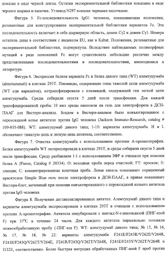 Антитело, содержащее fc-вариантную часть (варианты), фармацевтическая композиция, содержащая антитело, и способ лечения млекопитающего (патент 2325186)