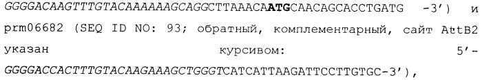 Растения, характеризующиеся повышенной урожайностью, и способ их получения (патент 2463351)