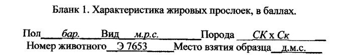 Способ гистологической оценки мраморности мяса мелкого сельскохозяйственного скота (патент 2439556)