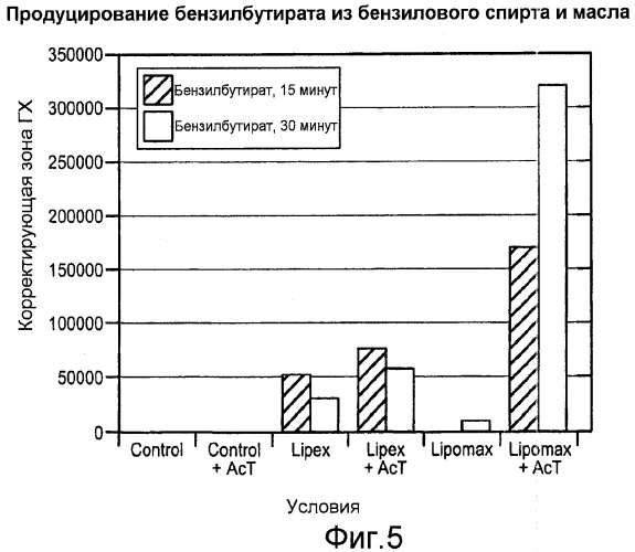 Композиция и способ для очистки ткани или поверхности от загрязняющего вещества, содержащего триглицерид (варианты) (патент 2479628)