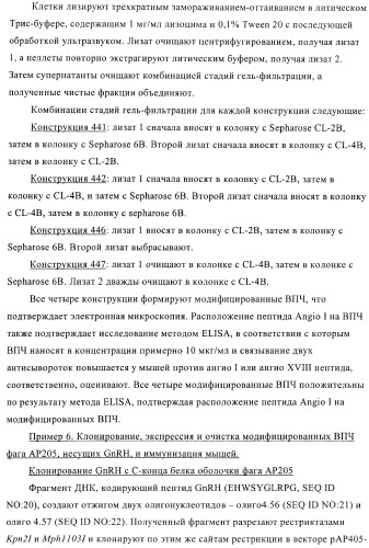 Вирусоподобные частицы, включающие гибридный белок белка оболочки бактериофага ар205 и антигенного полипептида (патент 2409667)