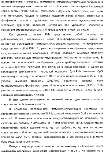 Мотивы последовательности рнк в контексте определенных межнуклеотидных связей, индуцирующие специфические иммуномодулирующие профили (патент 2435851)