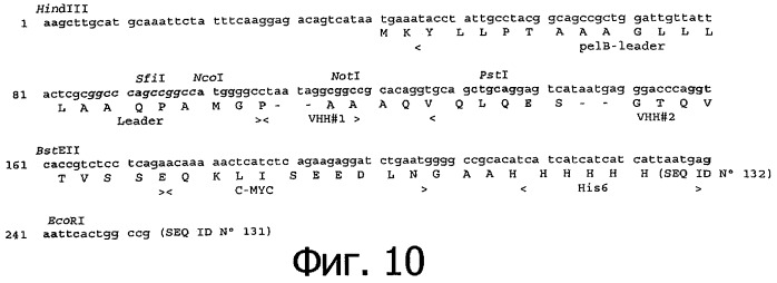 Однодоменные антитела, направленные против фактора некроза опухолей альфа, и их применение (патент 2455312)