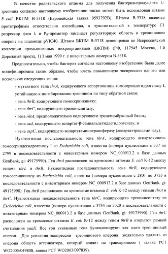 Способ конструирования оперонов, содержащих трансляционно сопряженные гены (патент 2411292)