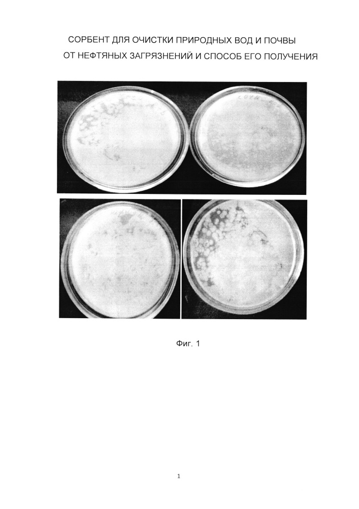 Сорбент для очистки природных вод и почвы от нефтяных загрязнений и способ его получения (патент 2663000)
