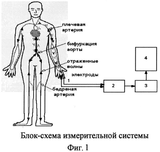 Реограф схема принципиальная