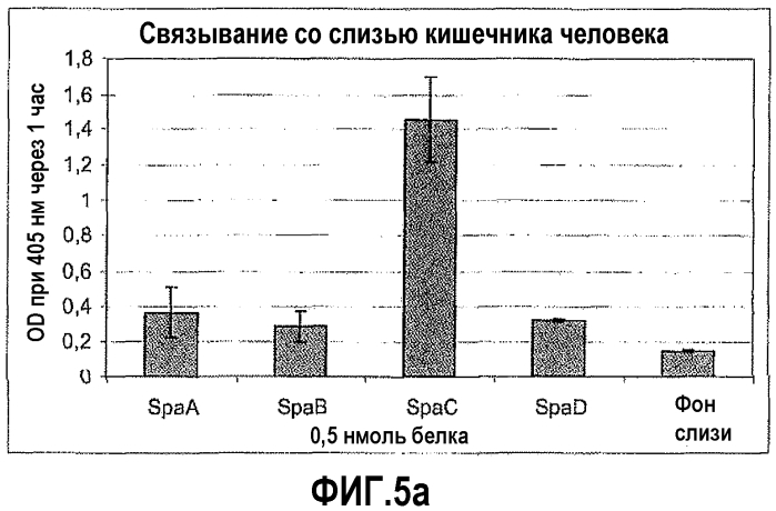 Новые пептиды и способы их получения (патент 2583579)