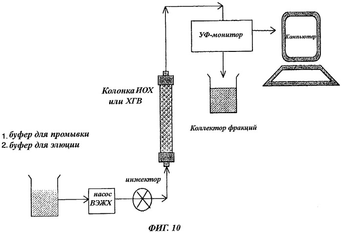 N-концевое полисиалилирование (патент 2432175)