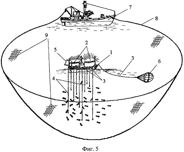 Способ лова морских гидробионтов, положительно реагирующих на свет (патент 2328116)