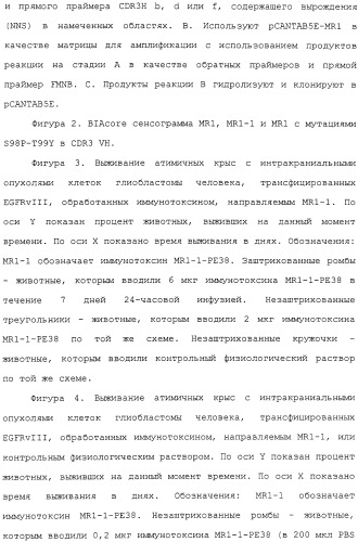 Scfv против egfrviii с улучшенной цитотоксичностью и выходом, иммунотоксины на их основе и способы их применения (патент 2317999)