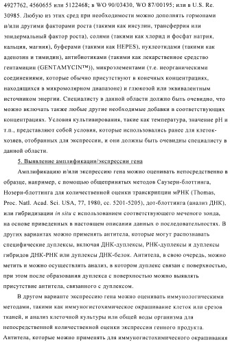 Композиции и способы диагностики и лечения опухоли (патент 2423382)