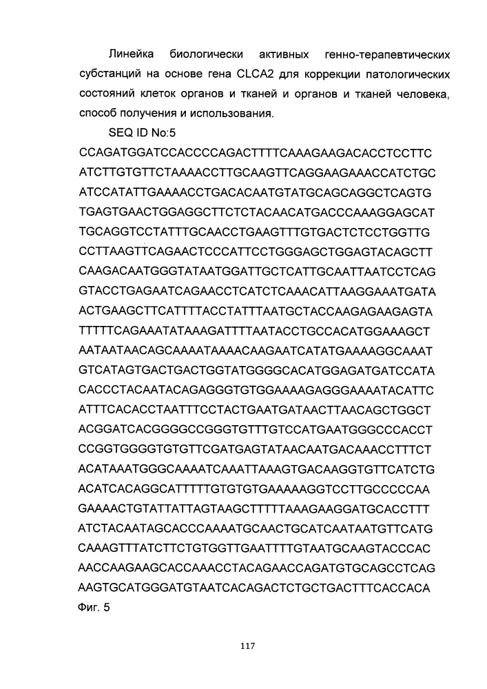 Линейка биологически активных генно-терапевтических субстанций на основе гена clca2 для коррекции патологических состояний клеток органов и тканей и органов и тканей человека, способ получения и использования (патент 2652318)