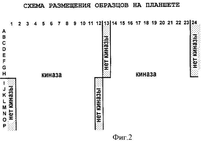 Гетероарильные соединения, их композиции и их применение в качестве ингибиторов протеинкиназы (патент 2474582)