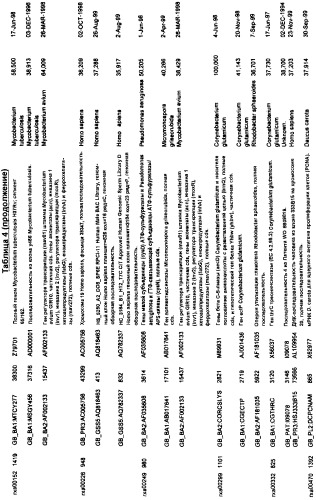 Гены corynebacterium glutamicum, кодирующие белки, участвующие в гомеостазе и адаптации (патент 2304616)