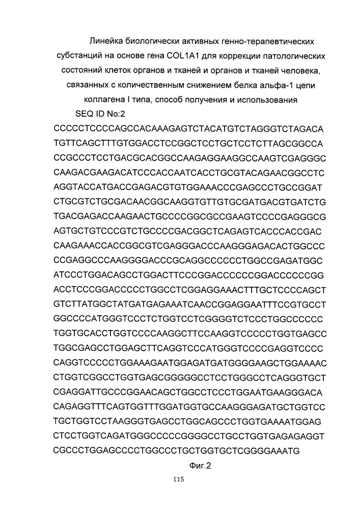 Линейка биологически активных генно-терапевтических субстанций на основе гена col1a1 для коррекции патологических состояний клеток органов и тканей и органов и тканей человека, способ получения и использования (патент 2652350)
