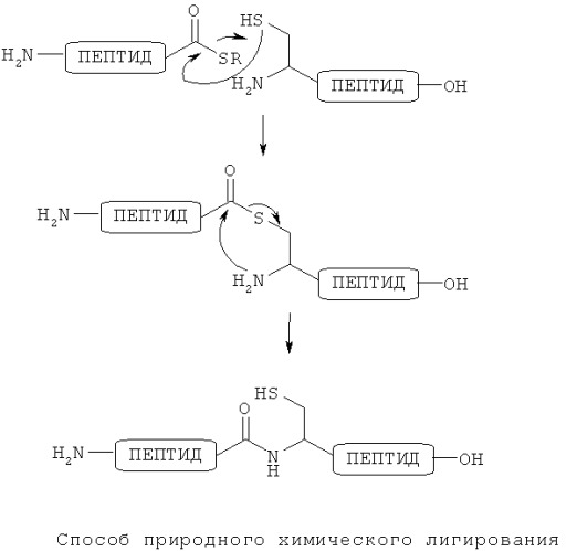 Способ получения пептида (патент 2478105)