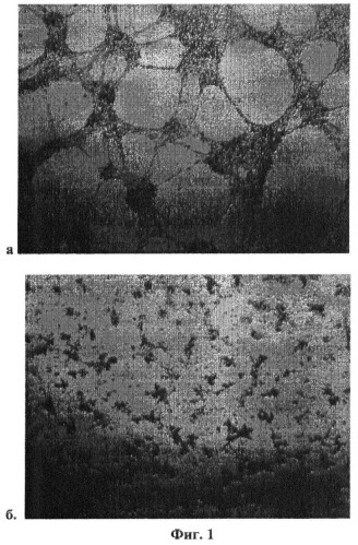 Применение клеточной линии меланомы кожи человека mel cher в качестве положительной модели васкулогенной мимикрии (патент 2404243)