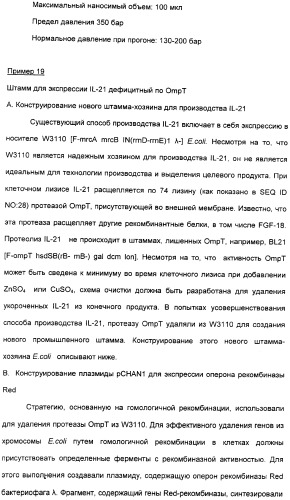 Продуцирование il-21 в прокариотических клетках-хозяевах (патент 2354703)