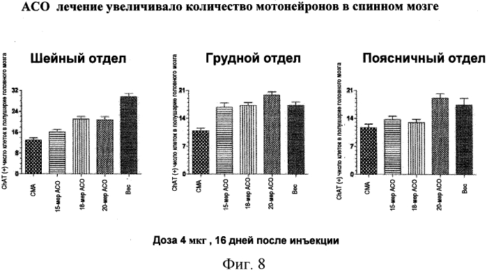 Композиции и способы модуляции smn2 сплайсинга у субъекта (патент 2566724)
