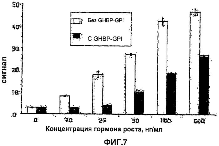 Слитый белок, ингибирующий рецепторную передачу сигнала гормона роста (варианты), способ его получения и очистки и фармацевтическая композиция на его основе (патент 2340628)