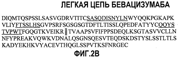 Очистка антител с помощью катионообменной хроматографии (патент 2498991)
