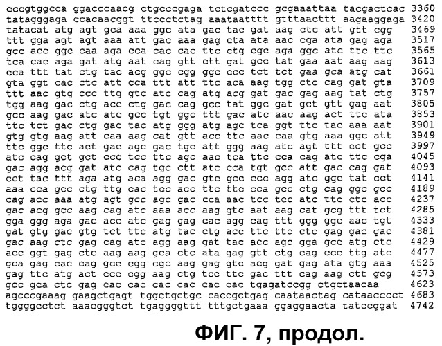 Гематопоэтические стволовые клетки и способы лечения неоваскулярных заболеваний глаз с их помощью (патент 2345780)