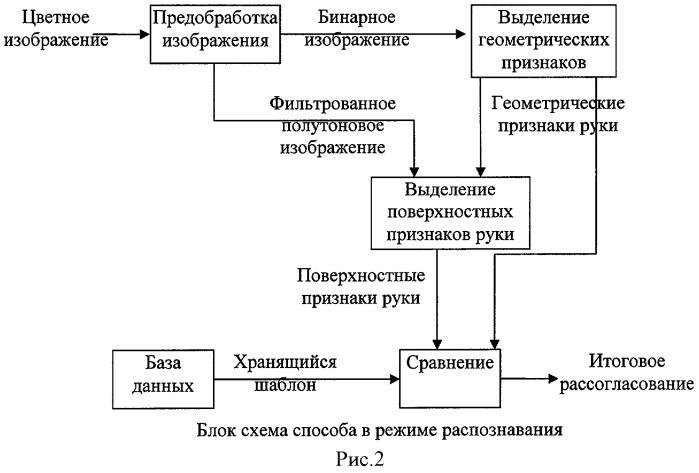 Способ и система для биометрической идентификации личности по изображению кисти руки (патент 2464634)