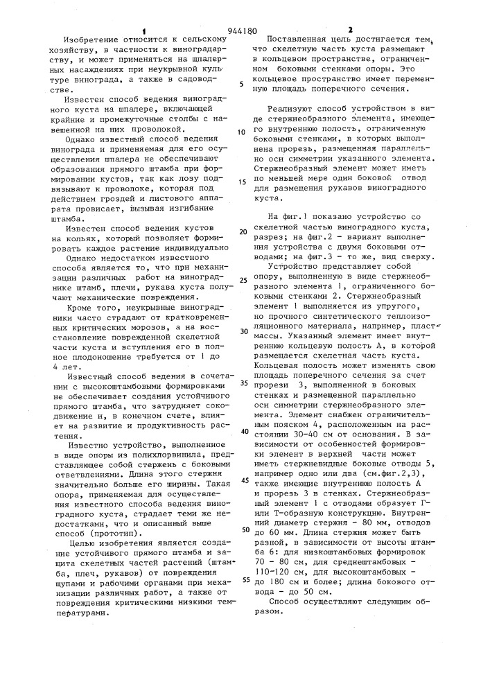 Способ ведения виноградного куста на шпалерных насаждениях и устройство для его осуществления (патент 944180)