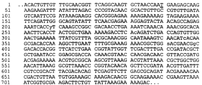 Антигены neisseria meningitidis (патент 2343159)