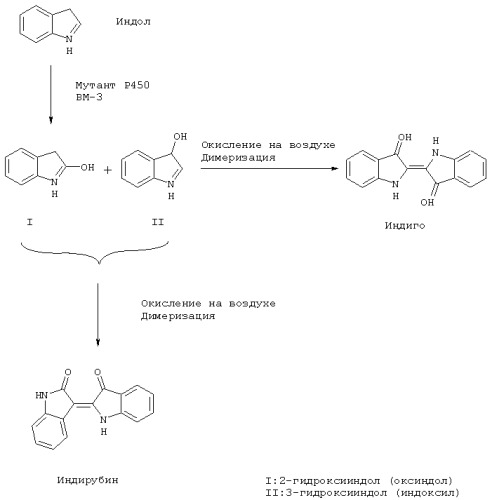 Новые цитохром р450-монооксигеназы и их применение для окисления органических соединений (патент 2285044)