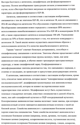 Антитела к рецептору инсулиноподобного фактора роста i и их применение (патент 2363706)