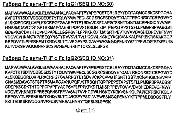 Варианты fc с измененным связыванием c fcrn (патент 2529951)