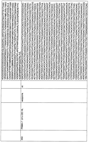 Psma×cd3 биспецифическое одноцепочечное антитело с межвидовой специфичностью (патент 2559531)