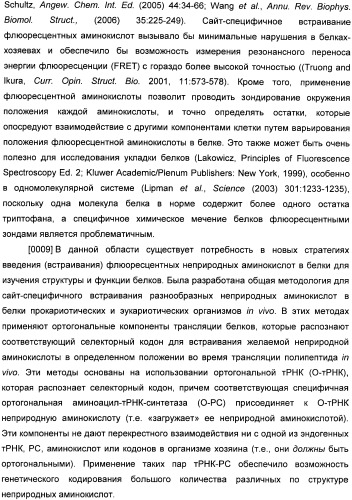 Генетически кодируемые флюоресцентные кумариновые аминокислоты (патент 2473690)