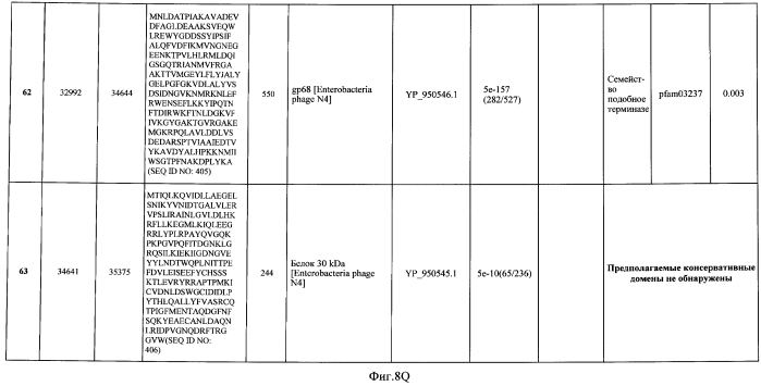 Бактериофаг, обладающий активностью против pseudomonas aeruginosa, белки бактериофага и способы их применения (патент 2580248)