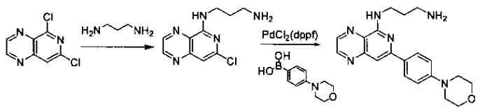 Замещенные пиридопиразины как новые ингибиторы syk (патент 2569635)