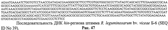 Способ идентификации и дифференциации прокариотических организмов (патент 2486251)