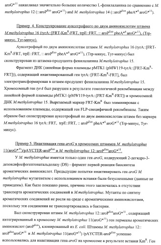 Способ придания бактерии, принадлежащей к роду methylophilus, ауксотрофности по l-аминокислоте, бактерия, принадлежащая к роду methylophilus, и способ продукции l-аминокислоты (патент 2395569)