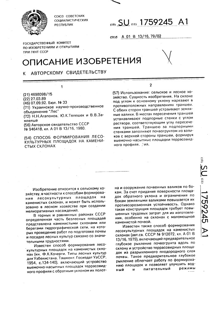 Способ формирования лесокультурных площадок на каменистых склонах (патент 1759245)