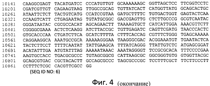Фермент лизосомальной болезни накопления (патент 2575074)