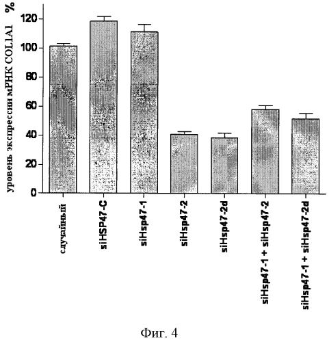 Модуляция экспрессии hsp47 (патент 2575056)