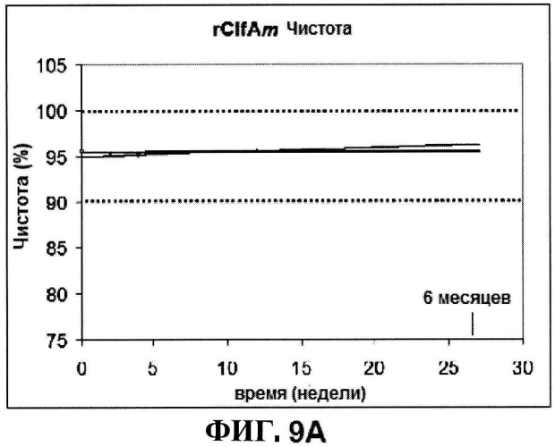 Стабильные иммуногенные композиции антигенов staphylococcus aureus (патент 2570730)