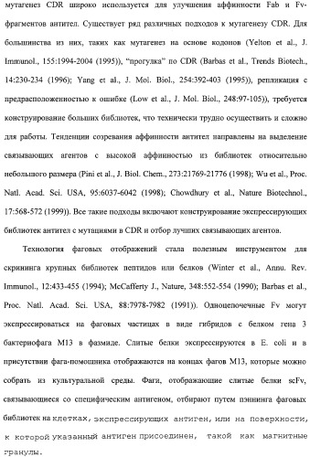 Scfv против egfrviii с улучшенной цитотоксичностью и выходом, иммунотоксины на их основе и способы их применения (патент 2317999)