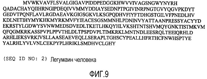 Композиция днк для вызова иммунного ответа против опухолеассоциированных макрофагов (патент 2459631)